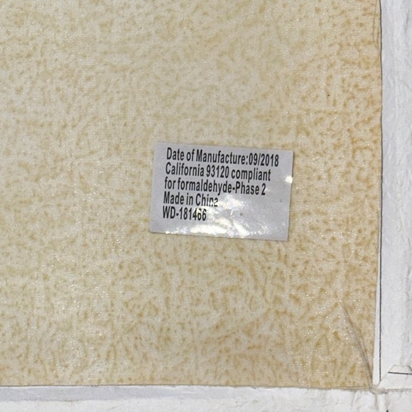 Tre Sorelle Studios "Succulent Watercolor" Painting Print 8" Stretched Canvas GU - Picture 12 of 14